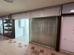 Sim Lim Tower (D8), Shop House #598119901